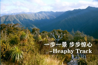 一步一景 步步惊心 - 希菲步道（Heaphy Track）