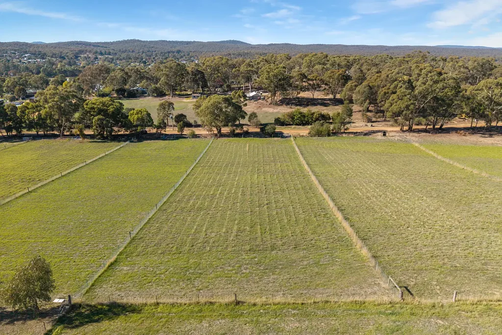 Campbells Creek  Elevated Land with Stunning Views