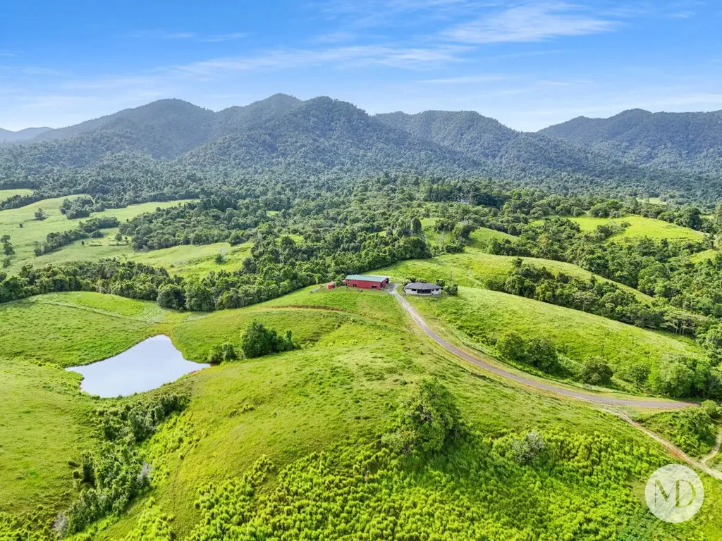 527 Donkin Road, Utchee Creek, QLD 4871