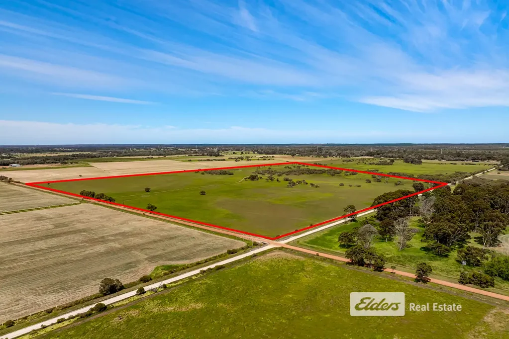 Uduc Your Next Harvey/ Uduc Escape