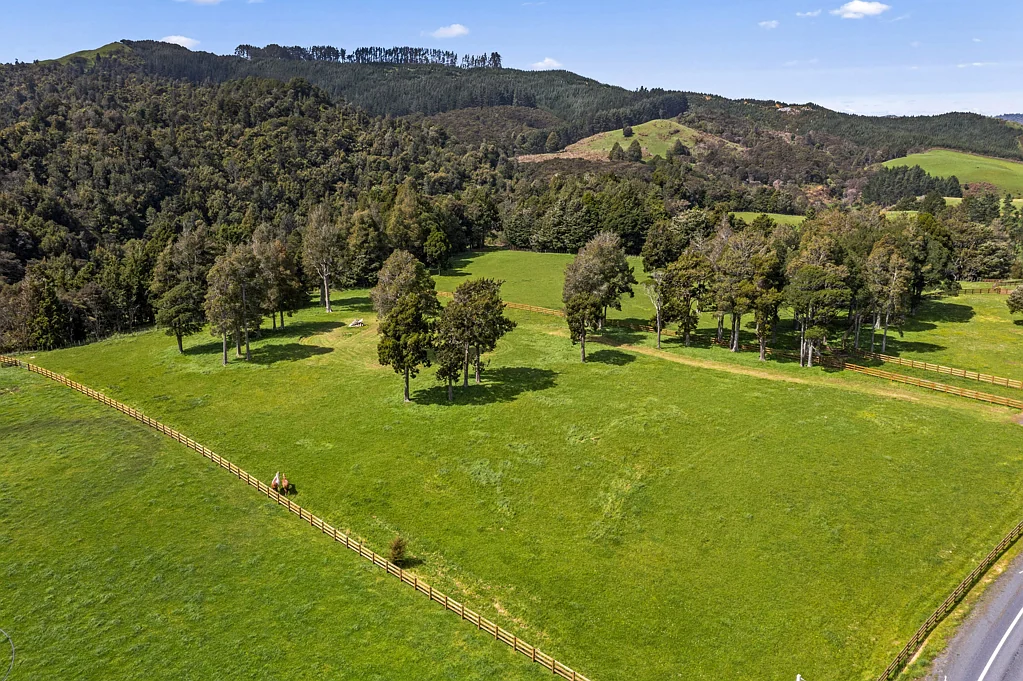 Raglan  Looking for lifestyle - must see.