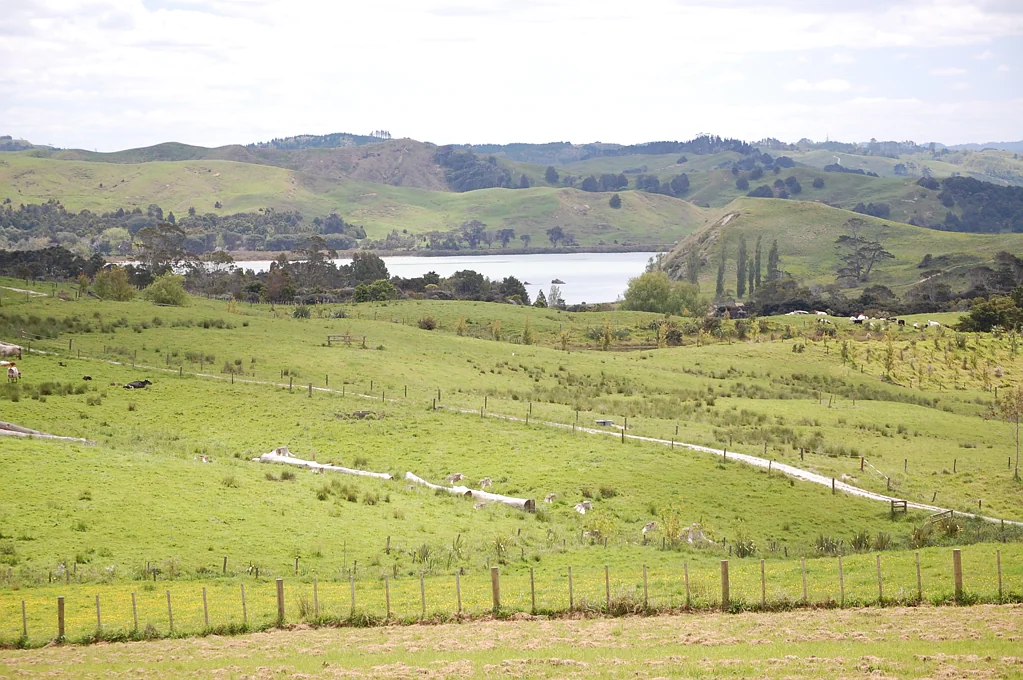 Kaiwaka Prime Peninsula Acreage with Water Access Nearby
