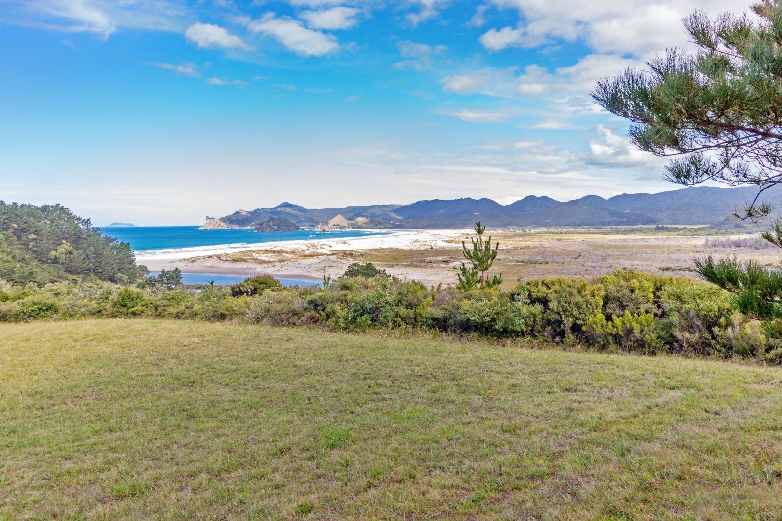 Hauraki Gulf Islands