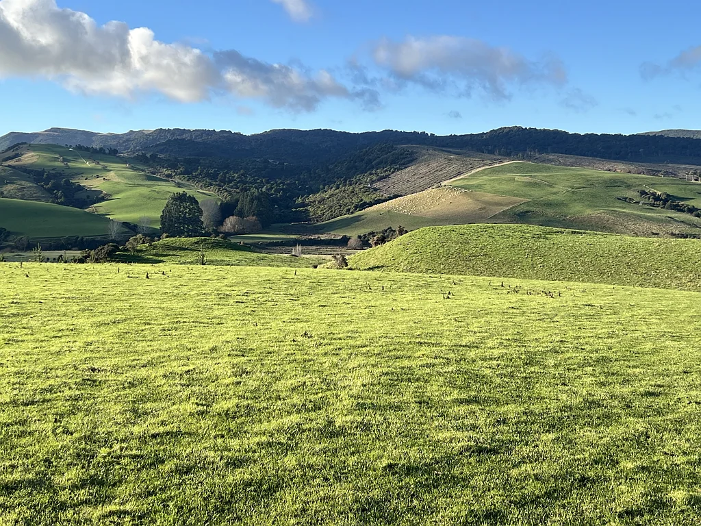 295 Stirling Road, Otapiri, Southland