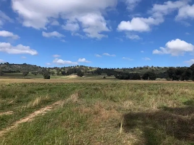 Cootamundra 5.5 Acres with TOWN WATER!