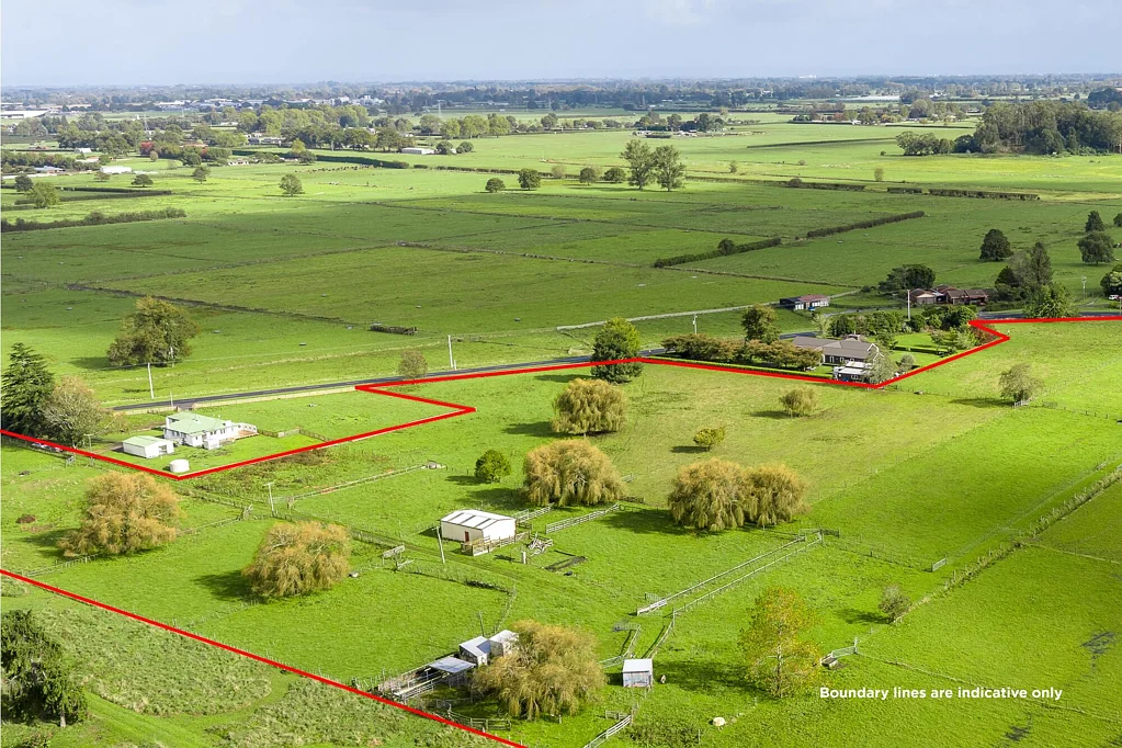 Cambridge  Graze, maize or lifestyle