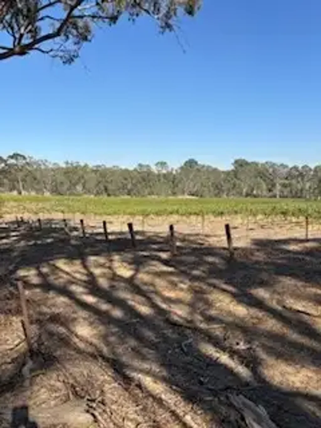 LOT 102 Sawmill Road, Sevenhill, SA 5453