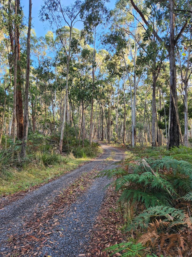 60 HICKEYS RD, TRENTHAM EAST VIC 3458, 0 chambres, 0 salles de bain, Lifestyle Property