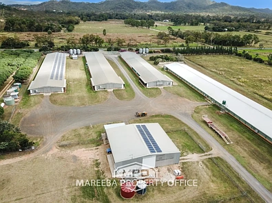 1004 Bilwon Road, Biboohra, QLD 4880, 6 habitaciones, 3 baños, Lifestyle Property