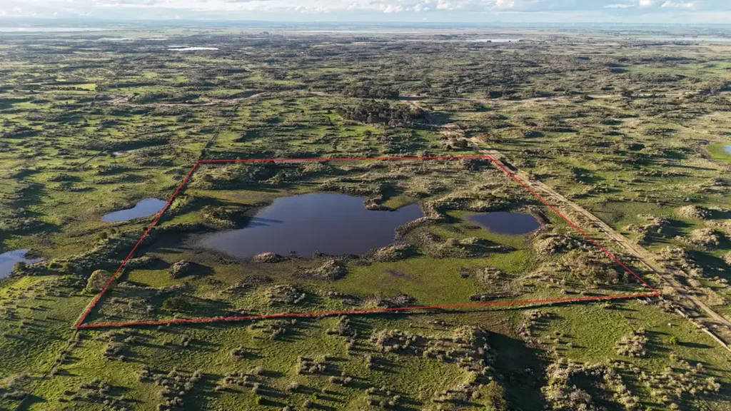 Dreeite  THE DUCKHOLES - TRUST FOR NATURE FREEHOLD LAND