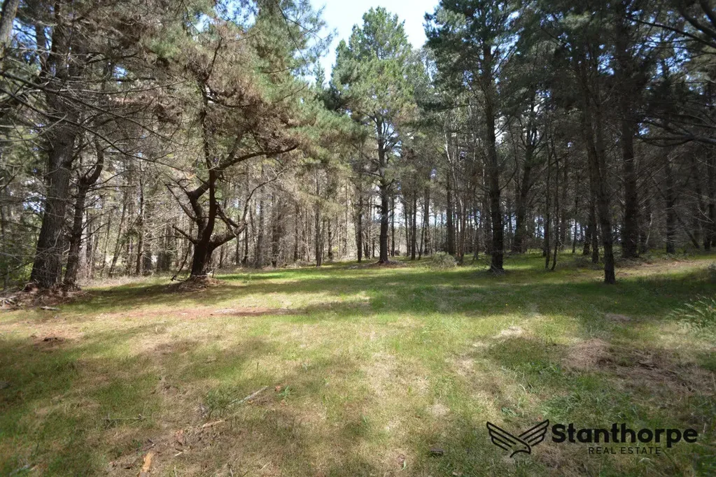 Sugarloaf SUGARLOAF - 5 ACRE EX-FORESTRY BLOCK WITH REMAINS OF BEAUTIFUL OLD PINE FOREST
