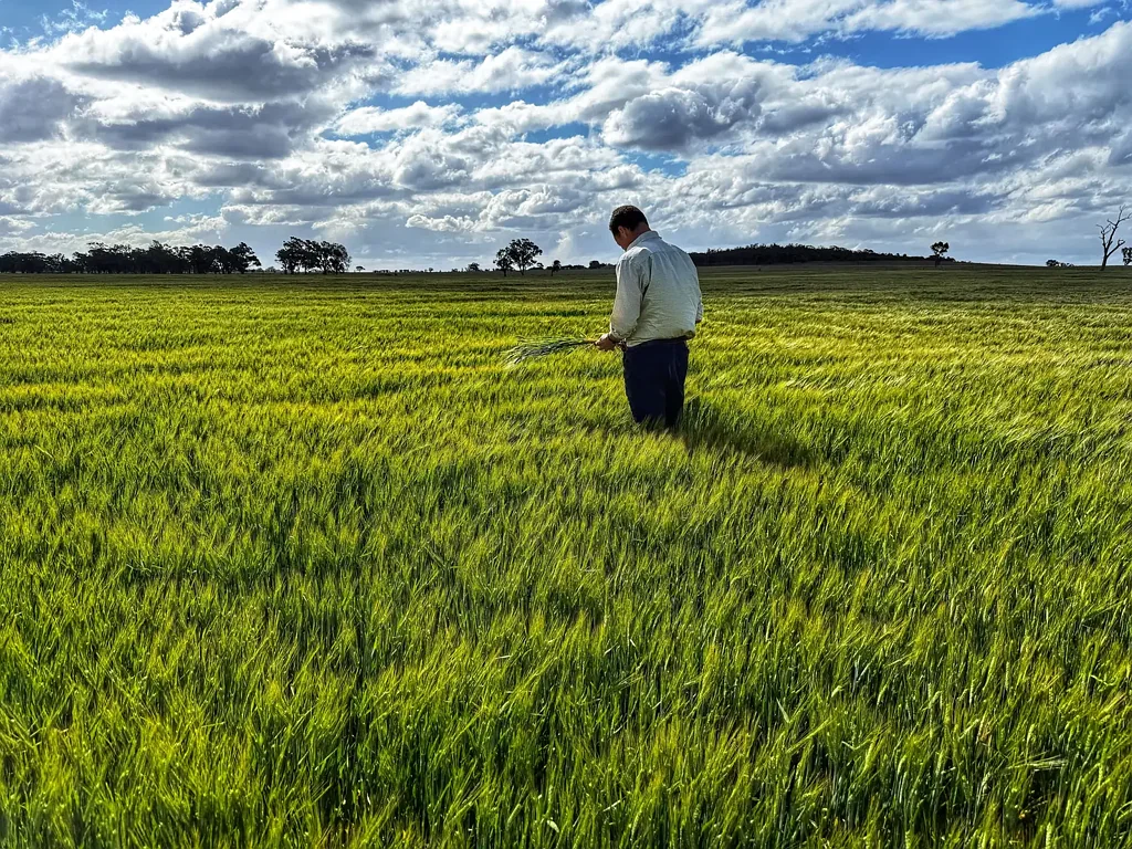 Condobolin Humbug Creek Mixed Farming