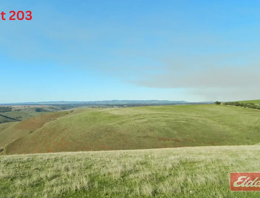 LOT 203 Gawler One Tree Hill Road, Gawler, Northern Adelaide, 0 Schlafzimmer, 0 Badezimmer, Section