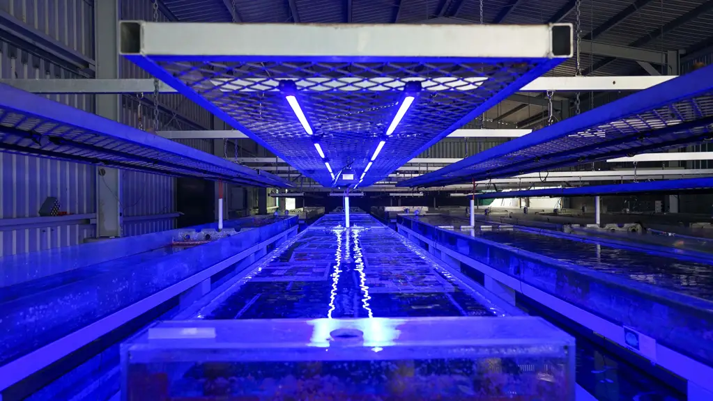 Sarina Unmatched Infrastructure for Large-Scale Operations