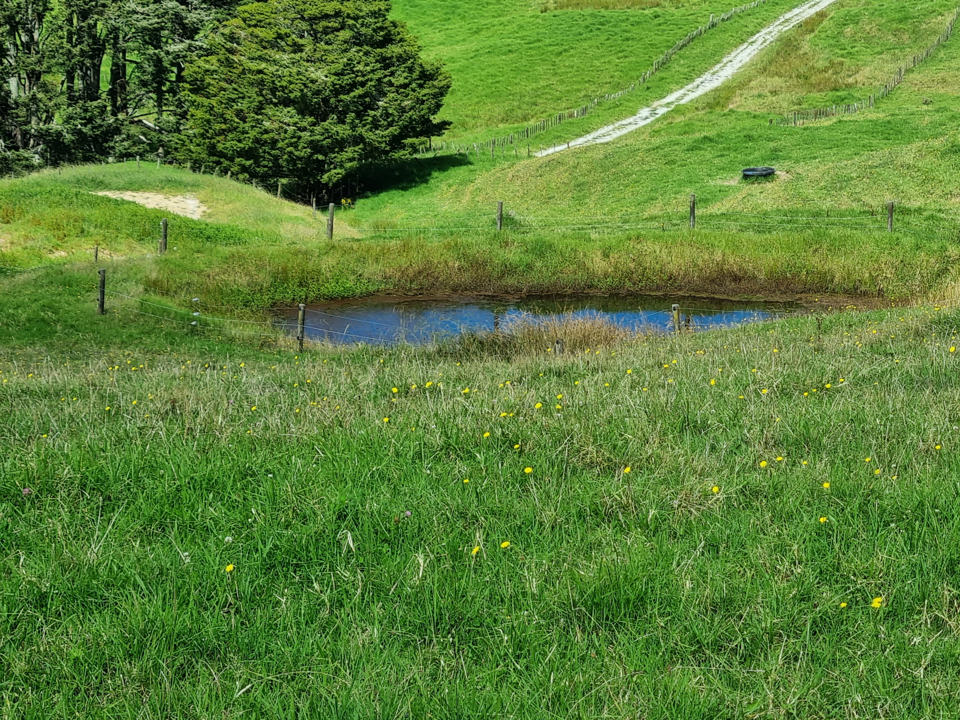 95 Ariels Lane, Paparoa, Kaipara, 0 ਕਮਰੇ, 0 ਬਾਥਰੂਮ