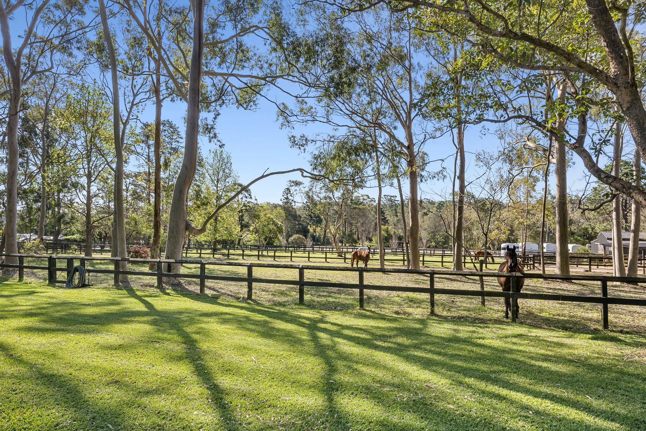 376 BIRRAMAL RD, DUFFYS FOREST NSW 2084, 0 chambres, 0 salles de bain, Lifestyle Section