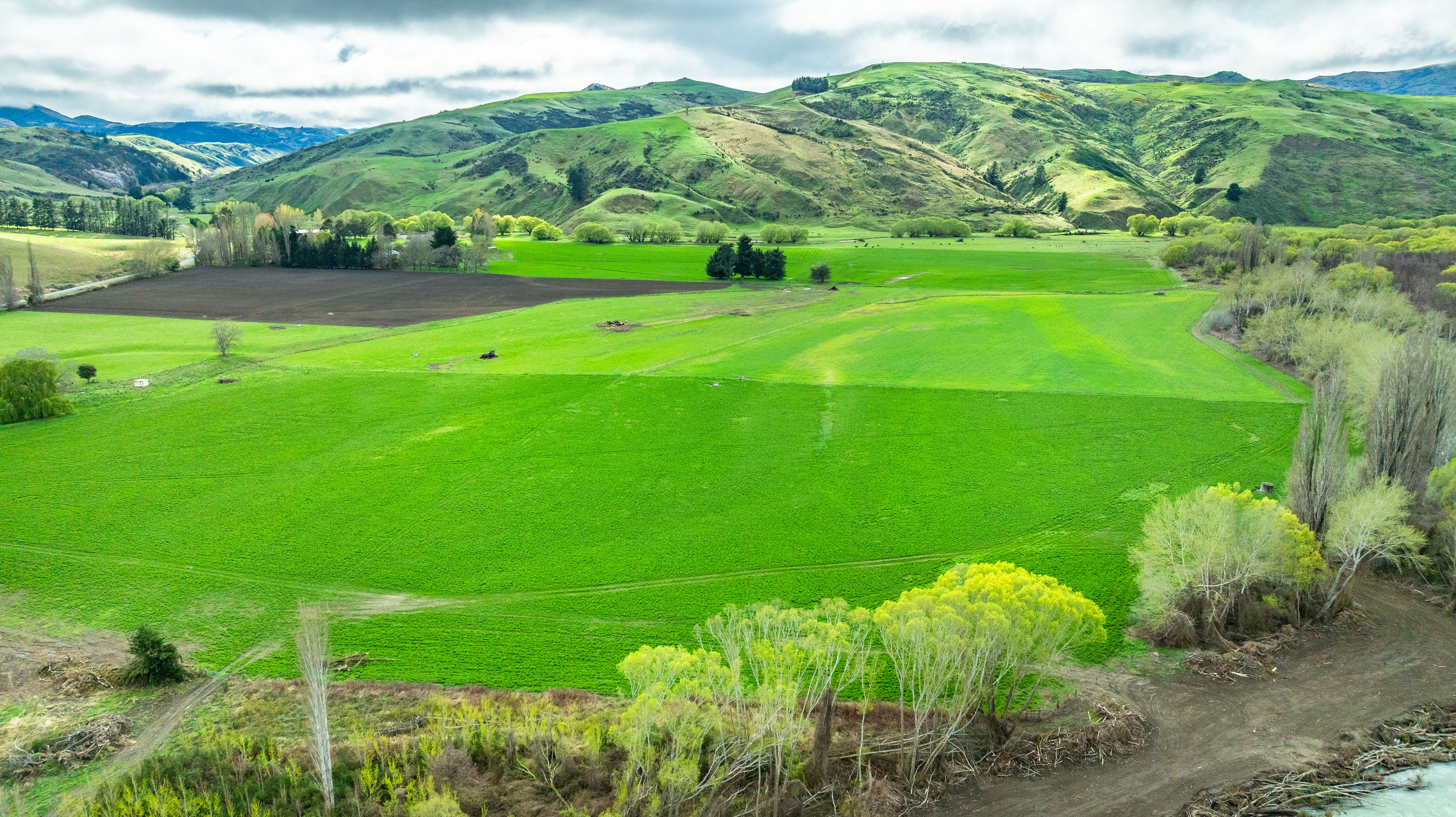 734 Leader Road West, Waiau, Hurunui, 0 રૂમ, 0 બાથરૂમ, Grazing