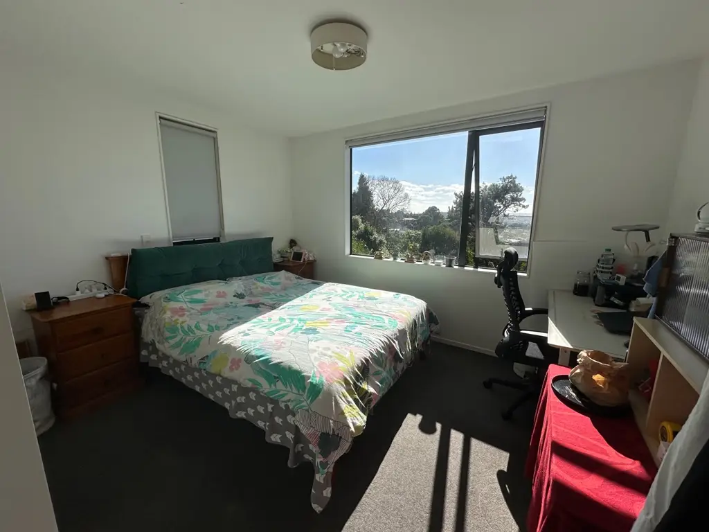 奥克兰北岸Rangitoto 附近招租