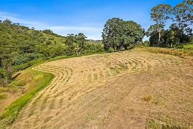 Larawan mula sa Itaas - Address Withheld, Ocean View, QLD 4521