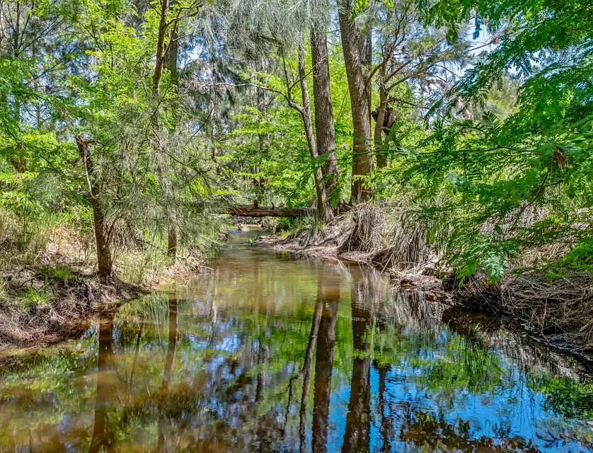 101 Mitchells Flat Road, Mitchells Flat,, Singleton, NSW 2330, 3 ਕਮਰੇ, 1 ਬਾਥਰੂਮ, Lifestyle Property