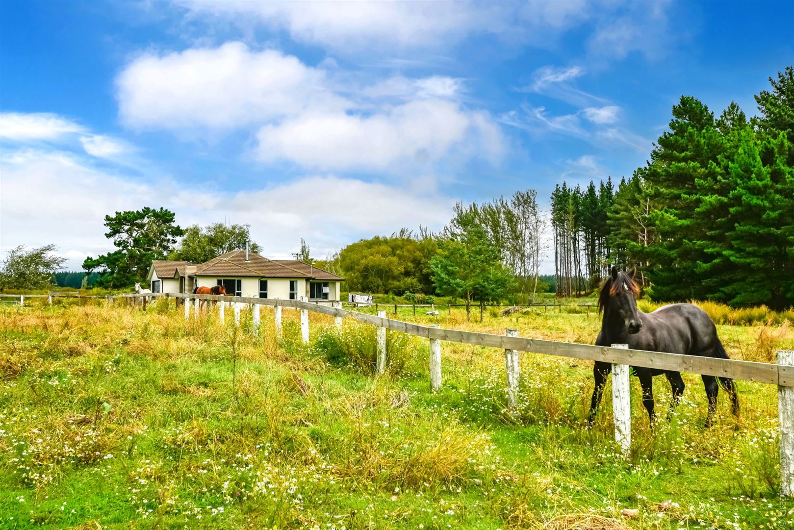 335 Kainga Road, Kainga, Christchurch, 4 Bedrooms, 0 Bathrooms