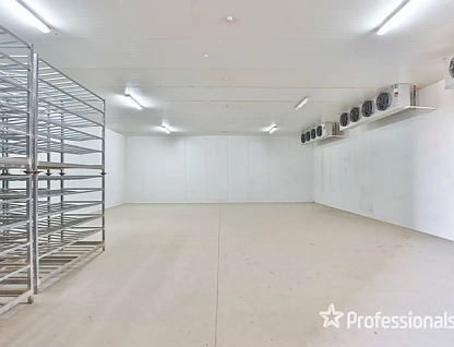 248 Sunnycliffs Crescent, Red Cliffs, Vic Country , 4 ਕਮਰੇ, 1 ਬਾਥਰੂਮ, Lifestyle Property