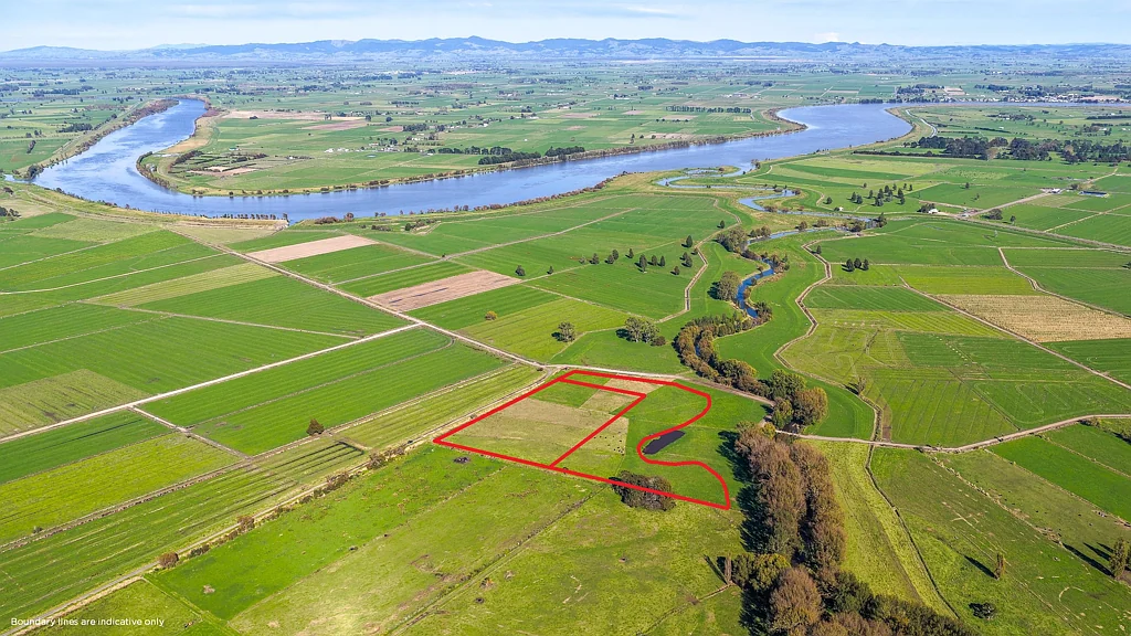 Puriri Build, graze or hold