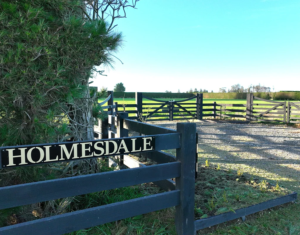 Wallacetown Bare Land Opportunity in Excellent Location