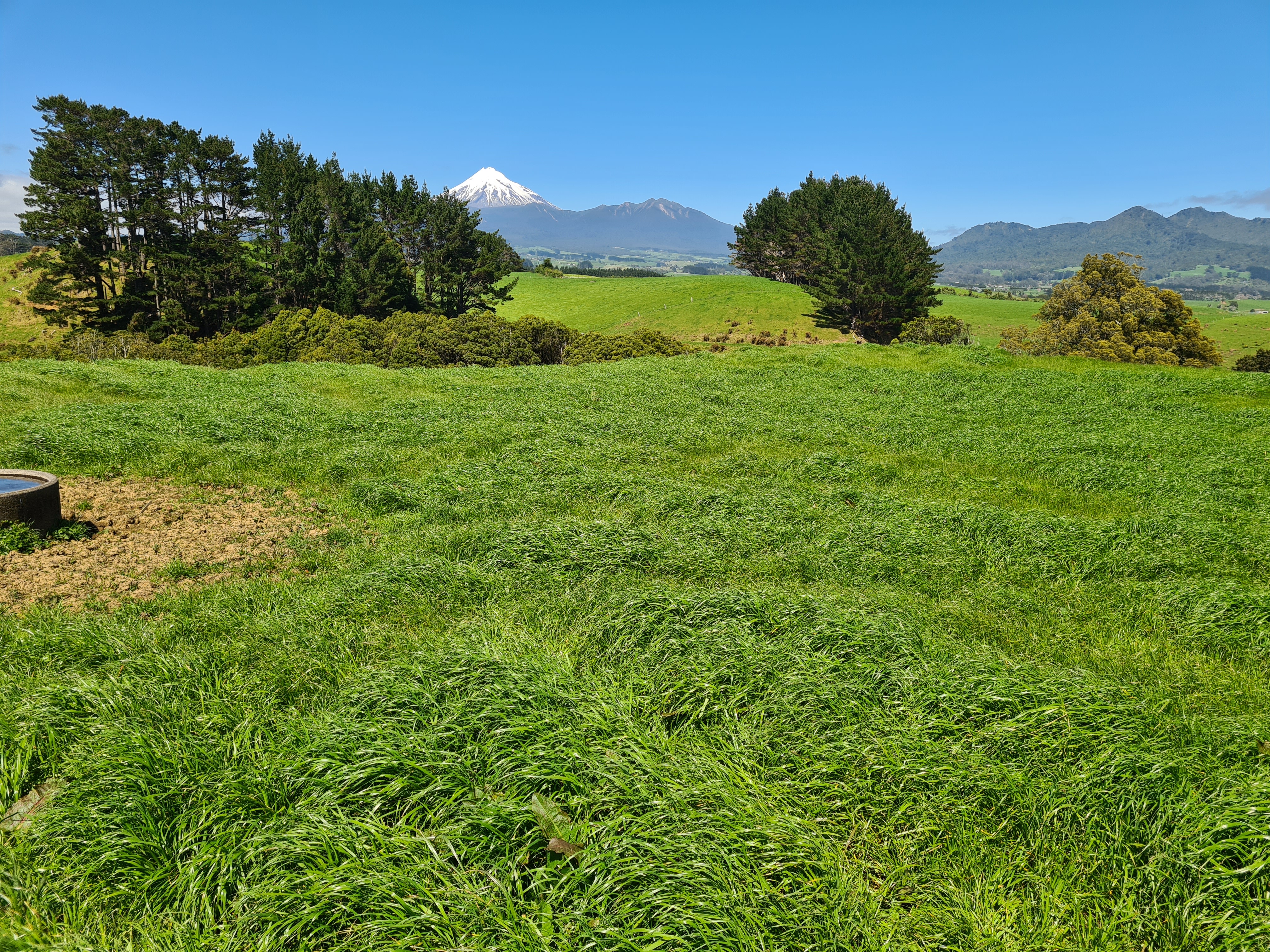 629 South Road, Omata, New Plymouth, 4 침실, 2 욕실, Grazing