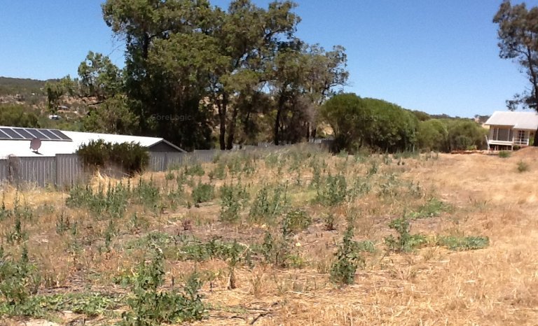 28 SETTLERS RDGE, TOODYAY WA 6566, 0 Schlafzimmer, 0 Badezimmer, Section