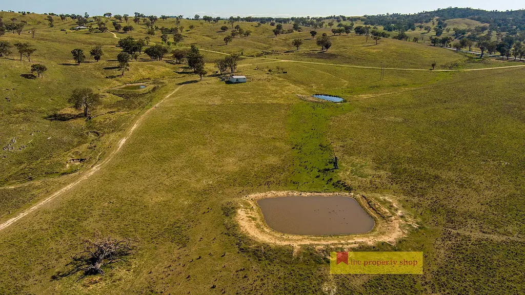 Mudgee  "BESSIE'S" PRODUCTIVE ACRES, ENDLESS POTENTIAL