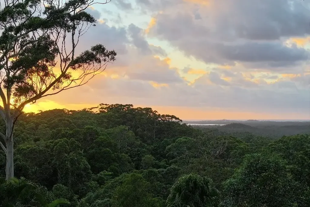 551 Sunrise Road, Tinbeerwah, QLD 4563