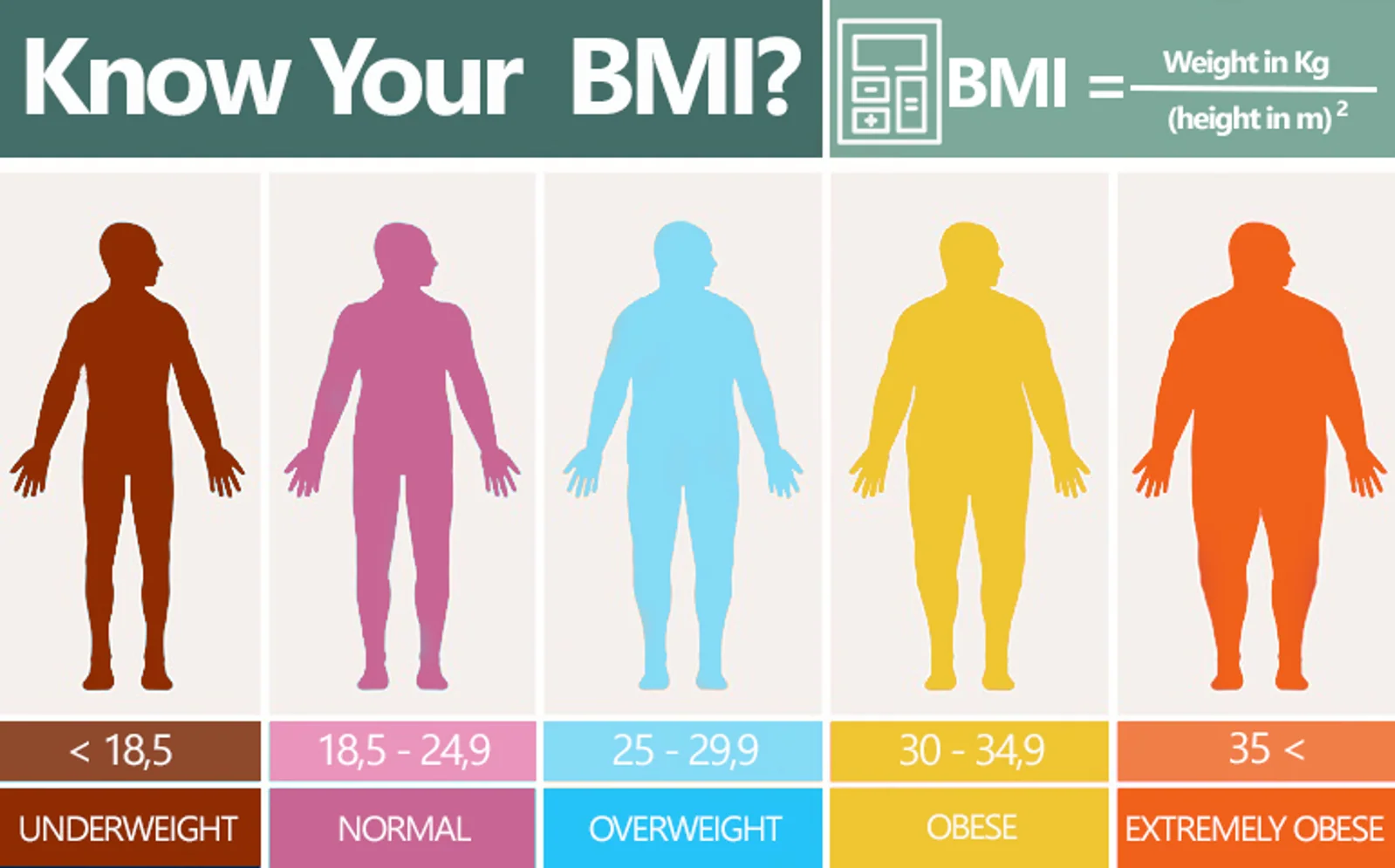 新西兰人:不要说我“肥胖”,请说“高BMI”