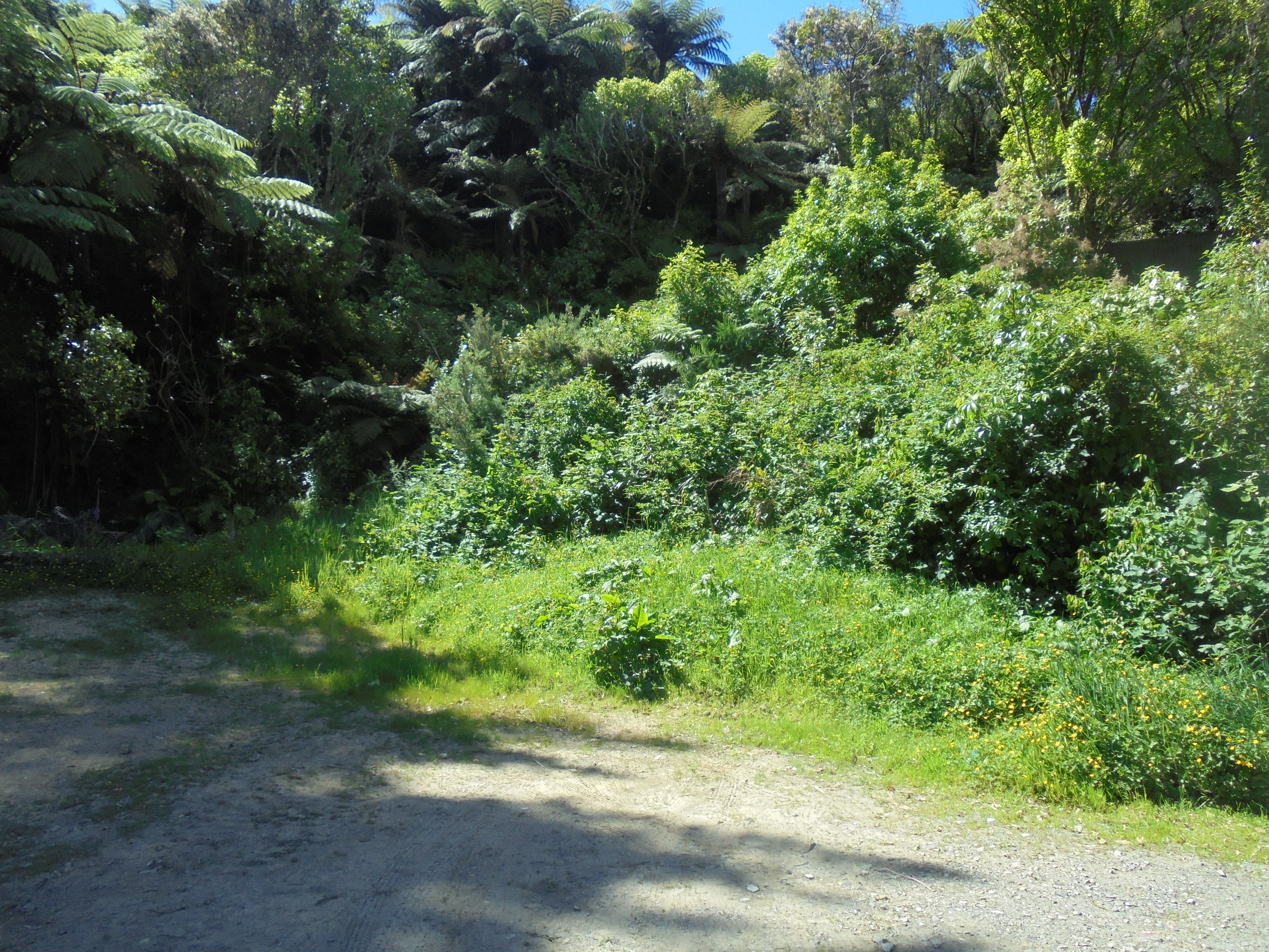 11 Gribble Grove, Stokes Valley, Lower Hutt, 0 Schlafzimmer, 0 Badezimmer, Section