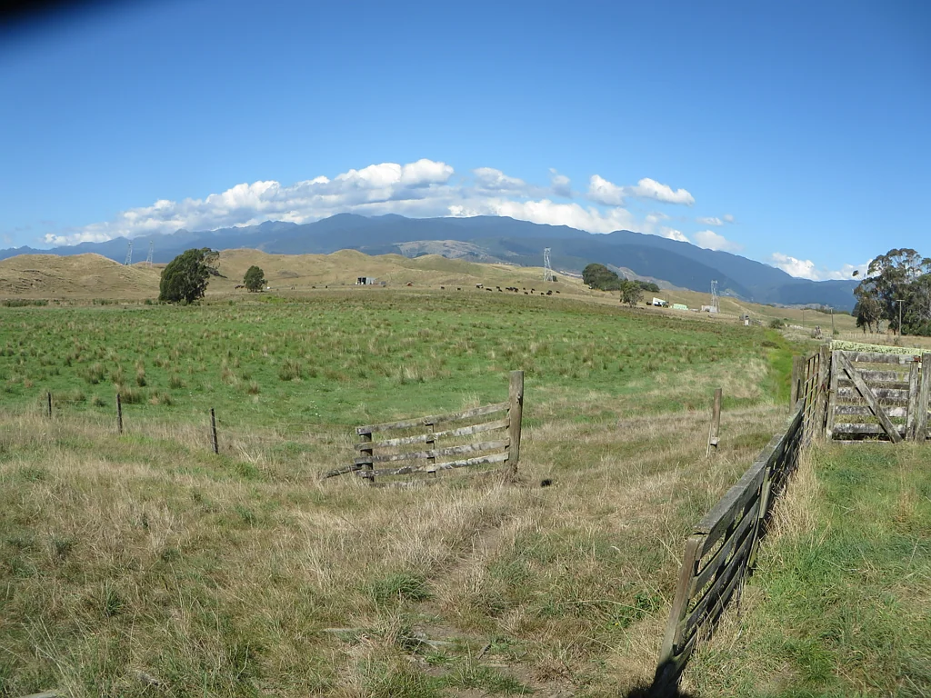 Ohau  Range Views Plus Wetlands, Horowhenua