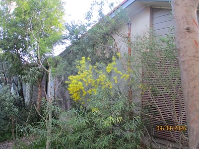 Calwell 3침실 Nature Lover Wanted! 3 bed/1 Bath - nature sanctuary gardens