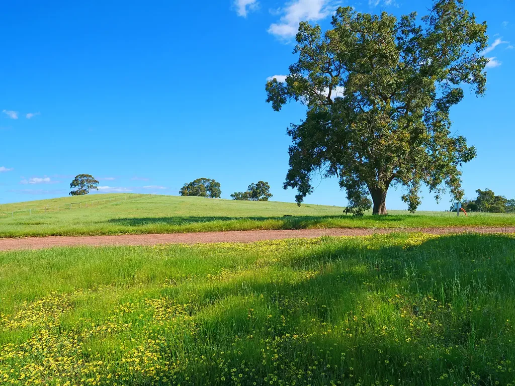 428 Yarrimbah Drive, Bullsbrook, WA 6084