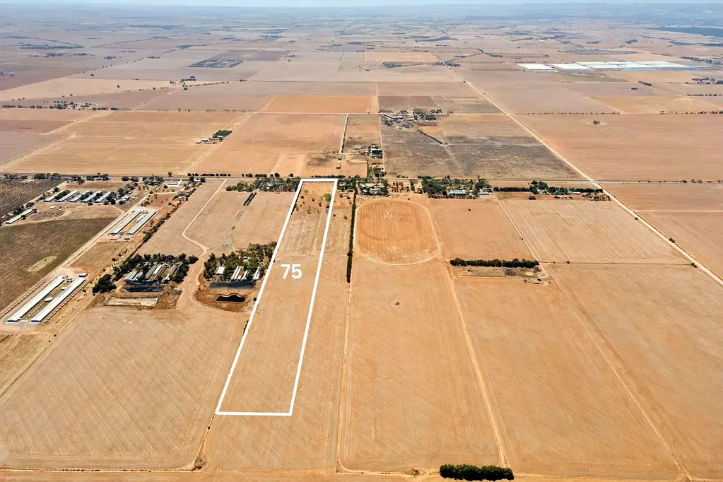 LOT 75/1176 Mallala Road, Korunye, SA 5502