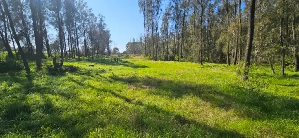 Vacant Land for Lease – Flexible Sizes from 1,000m² to 10,000m²