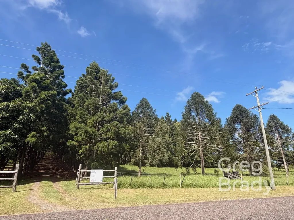 98 Fenech Avenue, Alligator Creek, QLD 4740