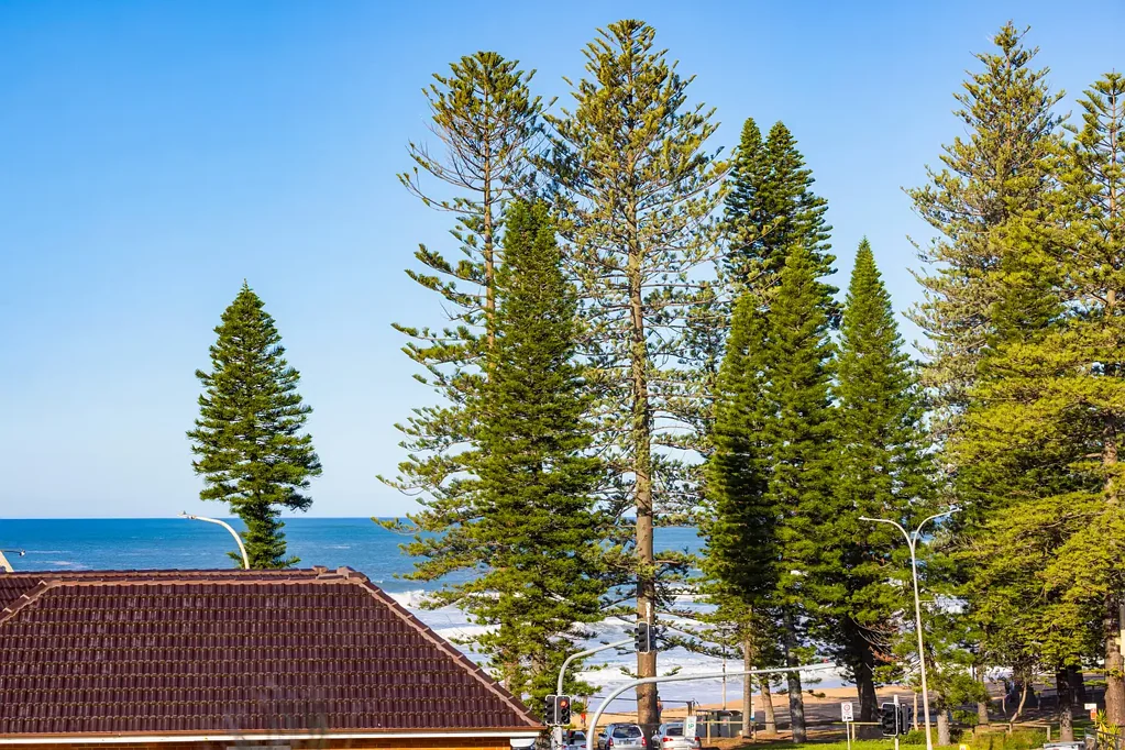 Collaroy 3غرفة نوم Sun-Drenched, 3 Bedroom Penthouse with Ocean Vistas