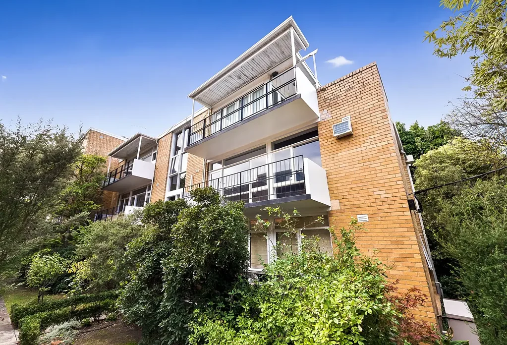 Contemporary Delight
