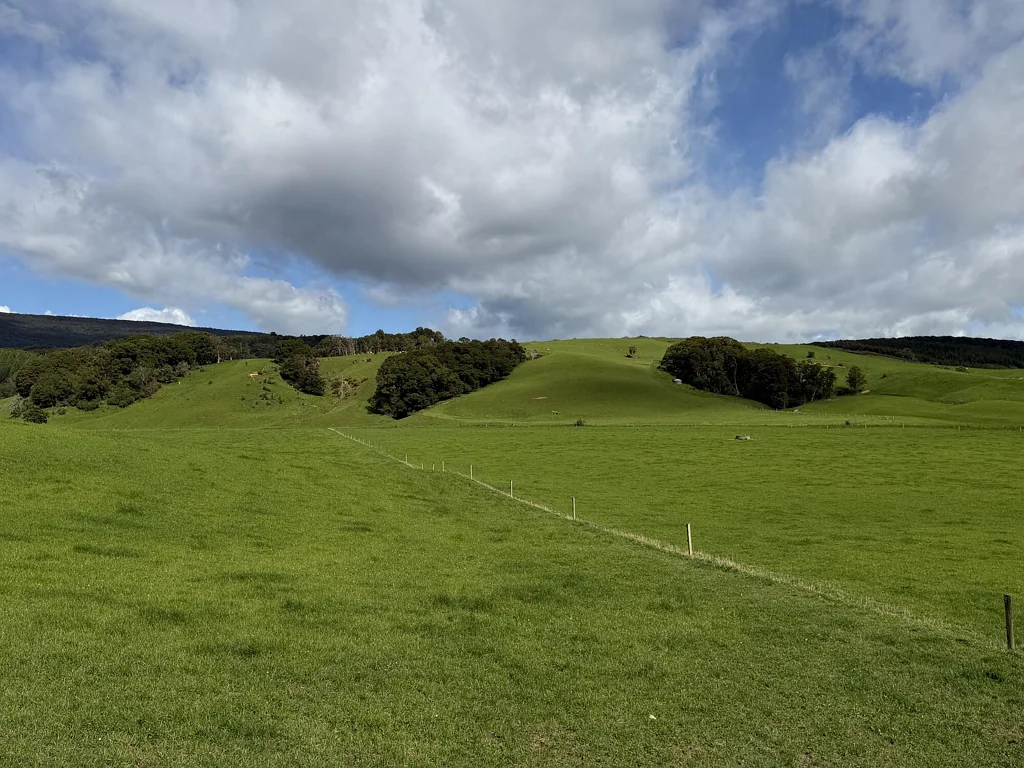 Otautau  Specialised dairy grazing and wintering unit