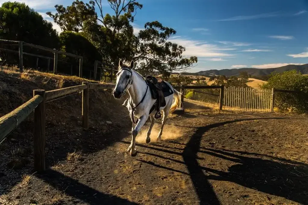 Reedy Creek 3Zimmer "Leighdale" -A Picturesque Country Haven