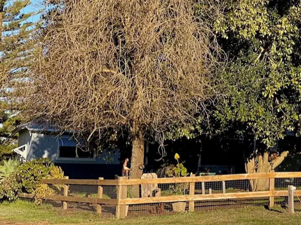 241 Greenfields Road, Benjinup, WA 6255