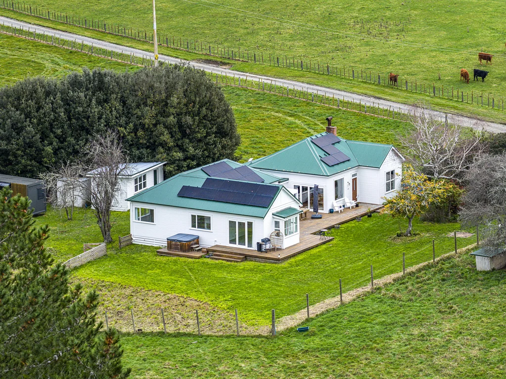 Puketapu Contemporary Feel | Character Appeal