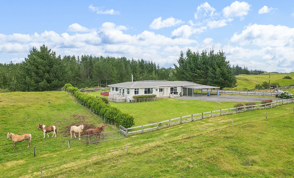 Ngongotaha 3침실 Versatile 15ha - Grazing, Views & Great Shedding