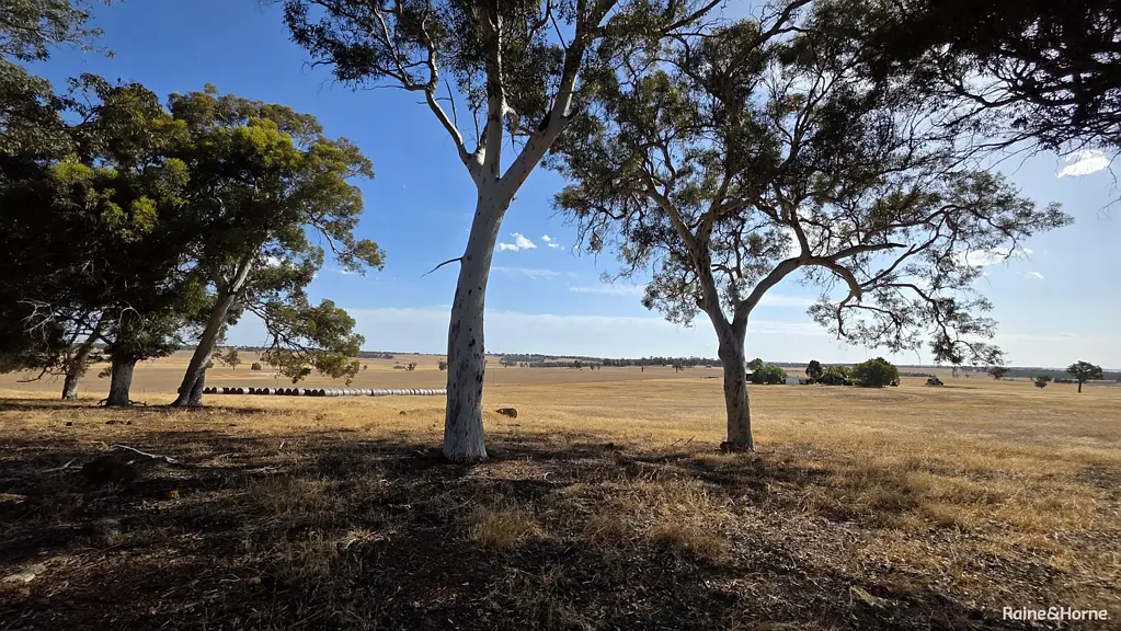 Mokup  978 Hectares (2420 Acres)