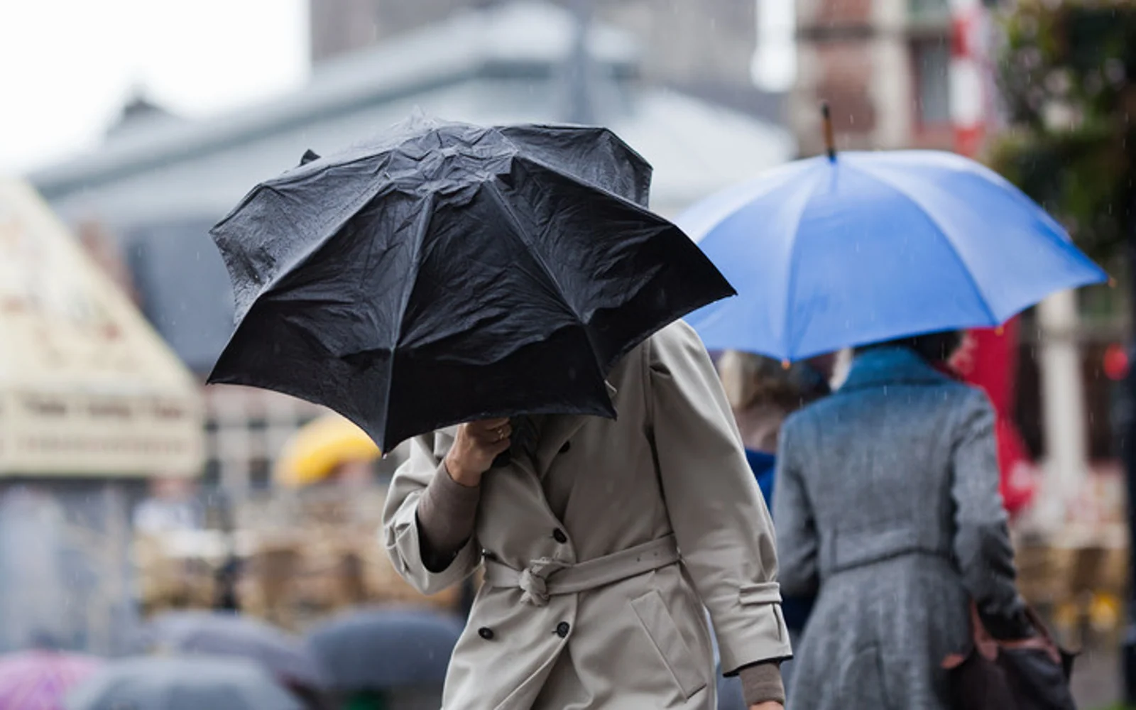 冷锋来袭，新一轮强风劲雨将于明日抵达奥克兰