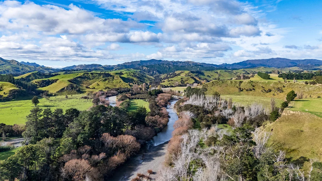 Martinborough Rare Entry - Level Lifestyle in Hinakura